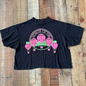 Rags to Riches Vintage Worlds of Fun Oversized Boxey Short Sleeve Cropped Tee